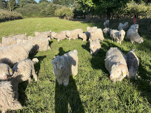 Photo from customer review